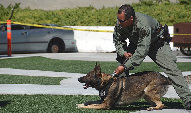 Carlsbad police used dog to track suspect in back of Jack in the Box - Image by Weaetherston 097