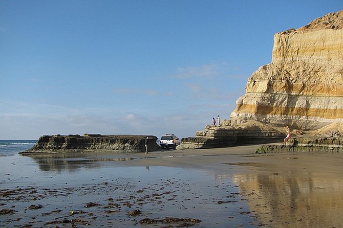Enjoy a docent-led walk exploring the geology of Torrey Pines.