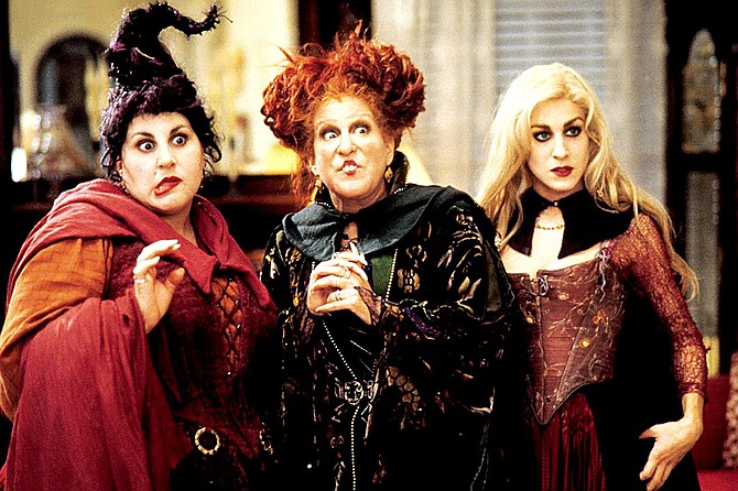 Come enjoy one of Halloween's staples, Hocus Pocus with your Friends and Family in El Camino Memorial Park. Pack your lawn chairs, blankets and snacks, complimentary snacks will also be provided. Free family event. Pet friendly.