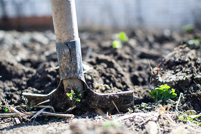 Shovel digging in soil