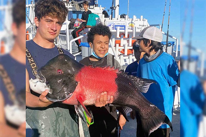 A deckhand holds an estimated 30-pound sheephead for the happy young angler who caught it during a youth outing aboard the Dolphin out of Fisherman’s Landing.