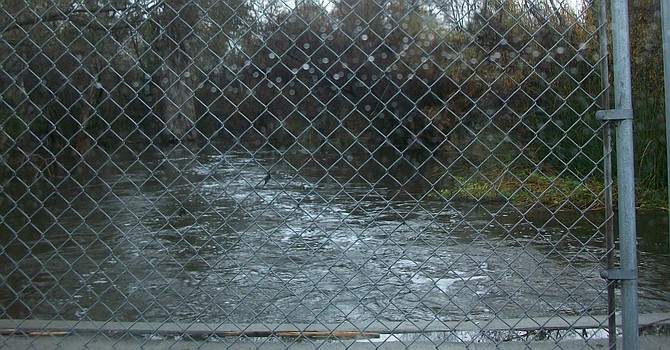 Flooded San Diego River seen from Fashion Valley Road