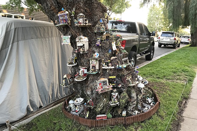 Jenny Gyapay’s Tiny Town is growing - up the pepper tree.