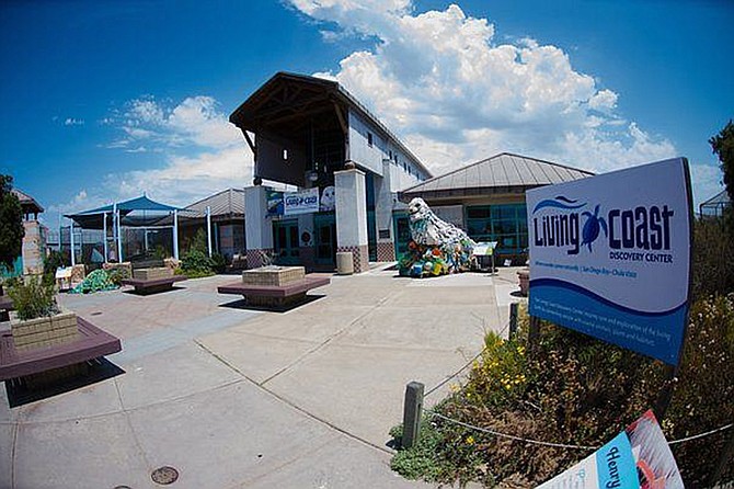 Say goodbye to 2021 and get ready for your 2022 GLOW UP with the Living Coast Discovery Center.