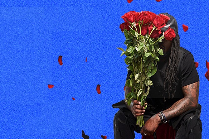 Wale concert tour promo