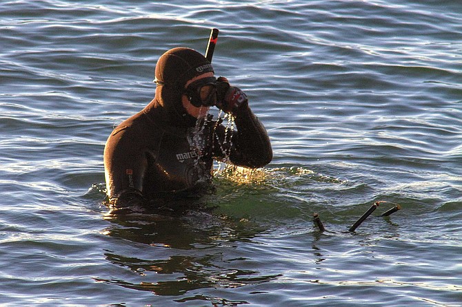 “Life-changing” is a term you hear a lot when you talk to freedivers. Volker Hoehne has dozens of tales: everything from a seven gill on his shoulder, to Gray Whale sightings, to multiple Great White encounters, to submarine sightings.