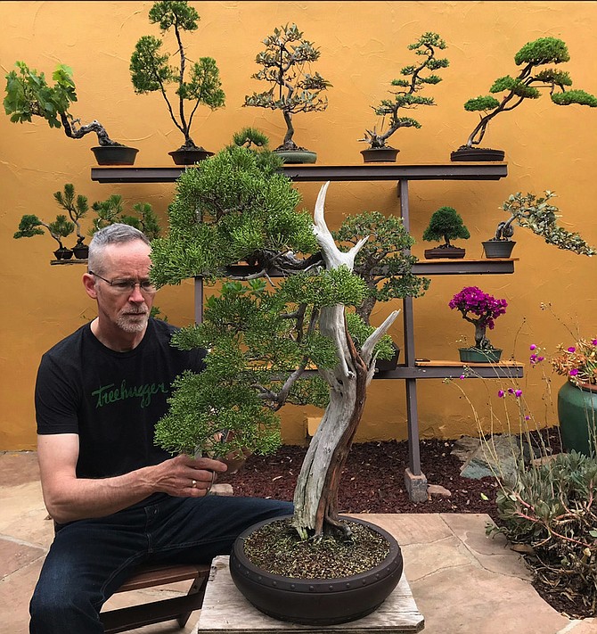 Neil Auwarter in his bonsai garden. “If you do something on your own, you’re limited,” he says, praising the club.