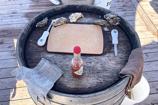 A barrel turned shucking station, with freshly harvested oysters ready to open