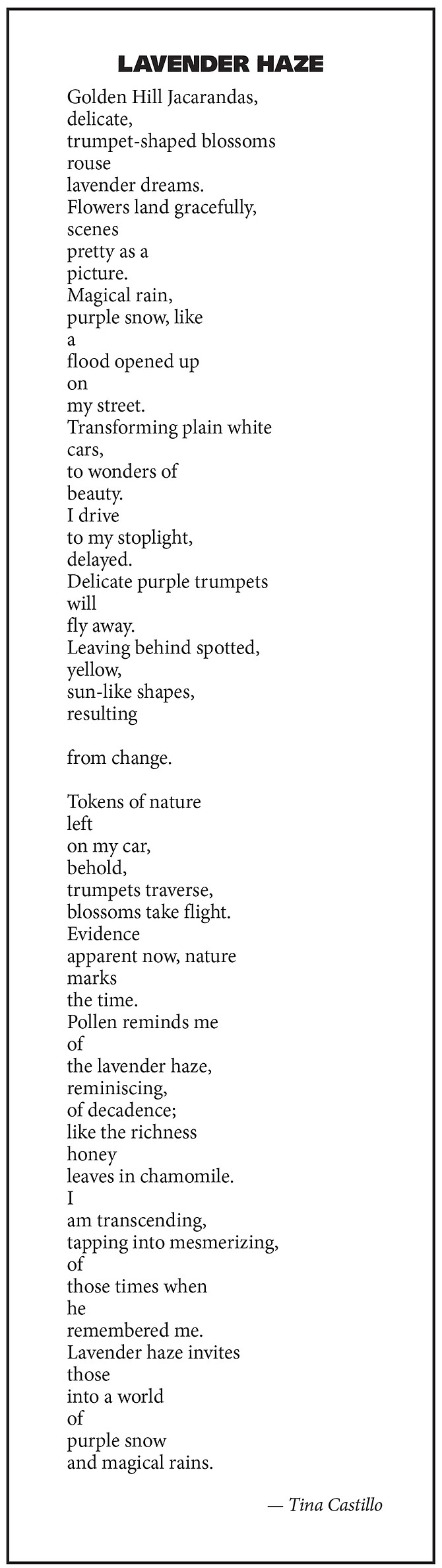 Lavender Haze by Tina Castillo