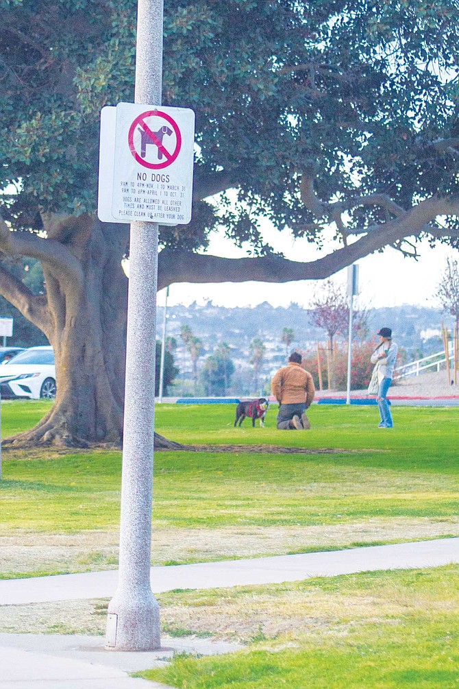 Between 2015 and 2017, more than 600 citations were issued to people breaking dog rules, nearly half of them in Mission Bay Park, where the dog ban extends to the walkways and grassy areas.