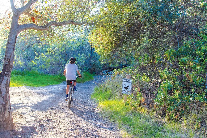 Some mountain bikers don’t like rules, which is why hikers are always urged to be on the lookout for speeding bikes.