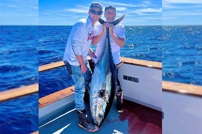 It took angler Robert Tressler over an hour to get this 147.5-pound bluefin tuna to the boat, and three gaffs to haul it aboard.