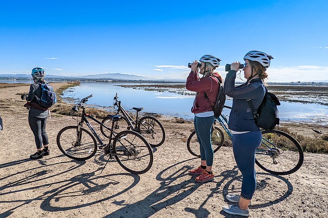 Test out your birding skills on this biologist led Birding and Biking Eco Tour.