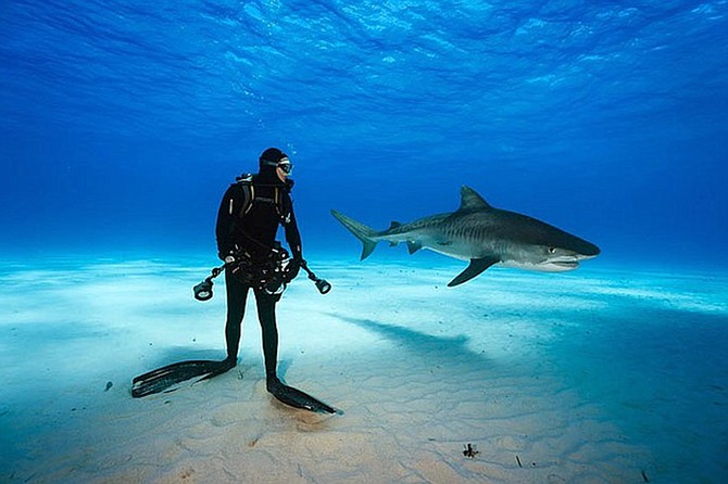 Join 11-time Wildlife Photographer of the Year Brian Skerry on an underwater journey as he narrates the stunning images he captured while on assignment in a mesmerizing glimpse of the “soul of the sea.”