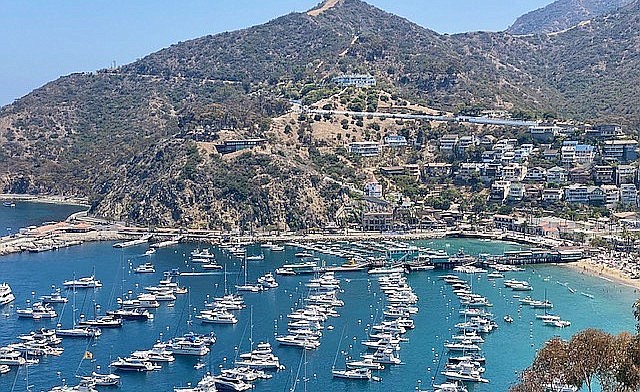 Hilltop view of Avalon Harbor, Catalina. Photo Credit: Karen Chazanovsky