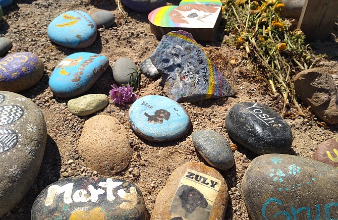 "We’ve argued to the management at Mission Bay Park that these are just rocks."