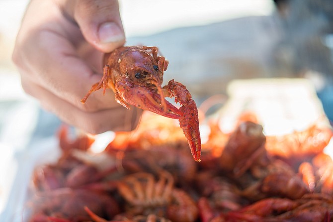 Crawfish at Gator by the Bay