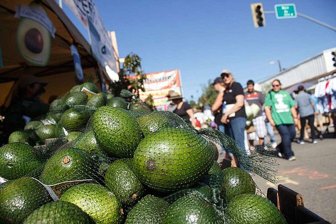 Who doesn't love a good alligator pear?