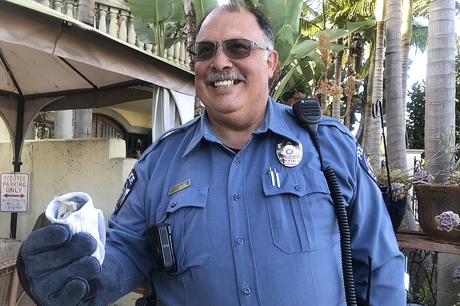 To the rescue! Officer Dwayne Justin’s holds sockful of baby possum, Li’l Dwayne.