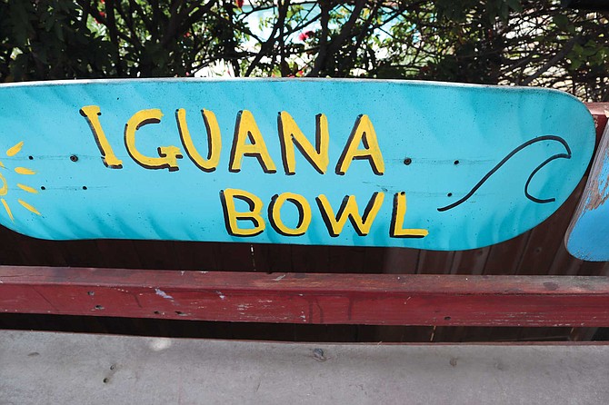 The Iguana Bowl is a large, even majestic wood-floored skate pool named after the Wettstein family’s recently departed pet.