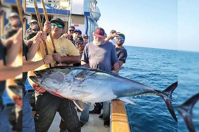 Larger bluefin are back! This 203 pound tuna was caught aboard the Tribute 1.5-day run.