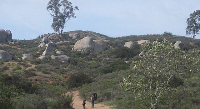 Join our Trail Guides on a walk to investigate first hand nature’s splendor as well as the historical, and cultural aspects of the Mission Trails Regional Park.