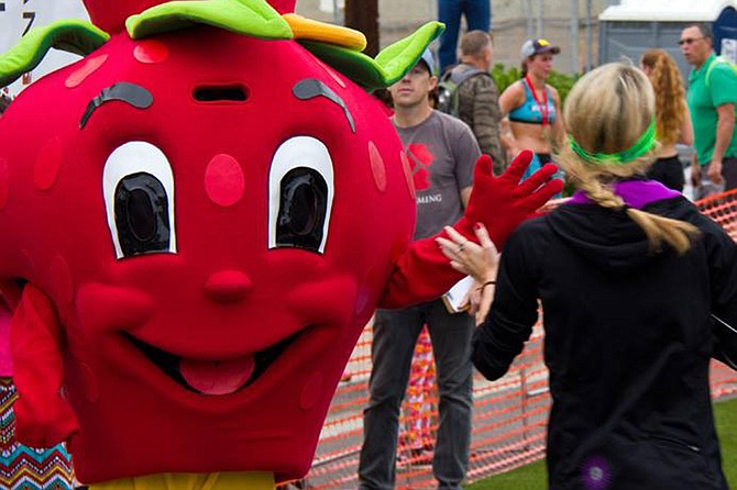 The Vista Strawberry Festival is the only festival in San Diego County dedicated to the strawberry.