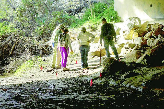 Follow naturalist Will Bowen to gain practice in identifying the plants and shrubs of Peñasquitos Canyon.