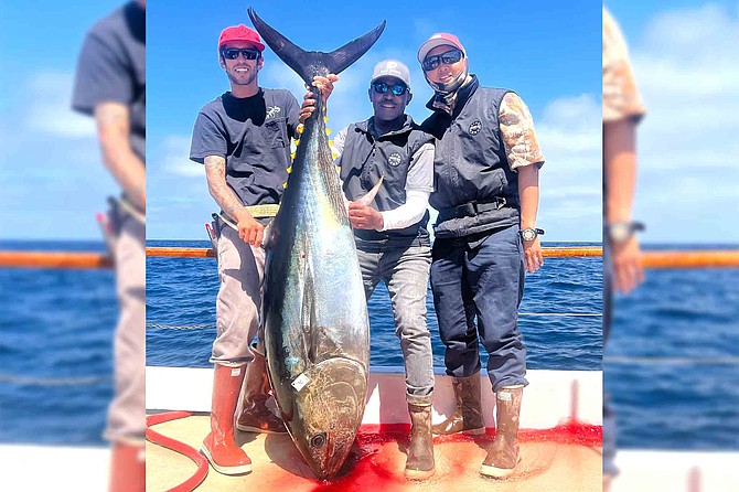 Though fishing was spotty, the quality was excellent. “2 bluefin. Tough day for the entire fleet. An attitude adjustment is coming in the near future.”