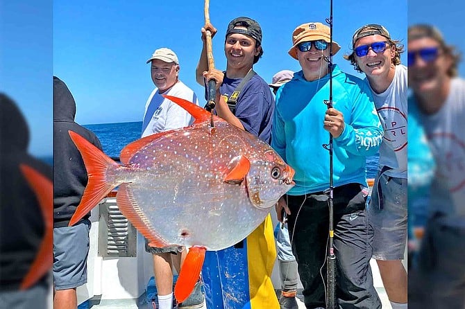 A colorful opah caught this past week from the sportfishing vessel Pacifica.