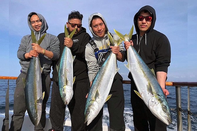 Happy anglers aboard the San Diego with a fine catch of medium-grade yellowtail caught while fishing the Coronado Islands.