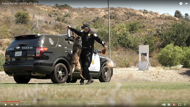 "They're trained to hold onto a suspect until they can be taken into custody."