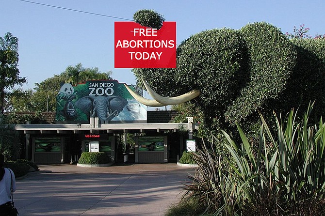 Ellie the Elective Abortion Elephant welcomes abortion-seekers to the Zoo. “Happily,” says Beastie, “the Zoo is already equipped with state of the art medical facilities, and our staff is well versed in the science and technique surrounding reproduction — including its limitation. When it comes to breeding, people are just like any other animal, and there’s no one better at taking care of animals than us.”
