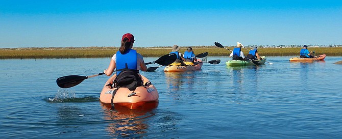 Explore Chula Vista Wildlife Reserve in a kayak while a marine biologist points out wildlife, local ecology and conservation efforts.