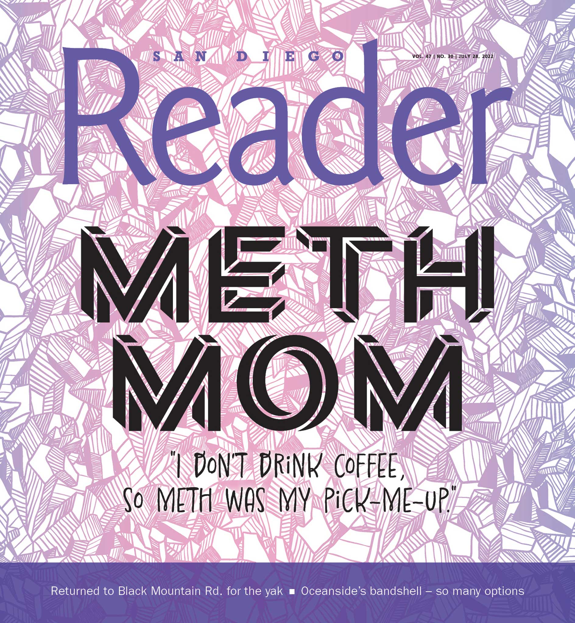 Wholesome San Diego mom finally quits meth San Diego Reader photo