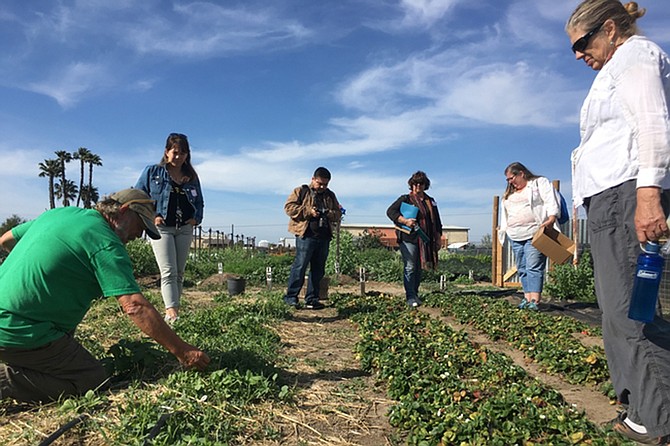 Wild Willow Farm offers something for everyone; learn how to grow food in the farm school, or gain an understanding of health and wellness at a workshop or community event.