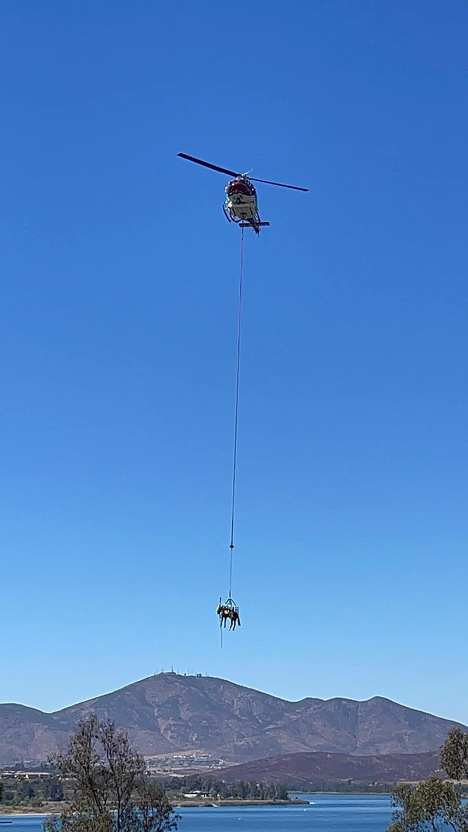 The backup plan to perform an equine hoist rescue using Copter 1 was implemented.