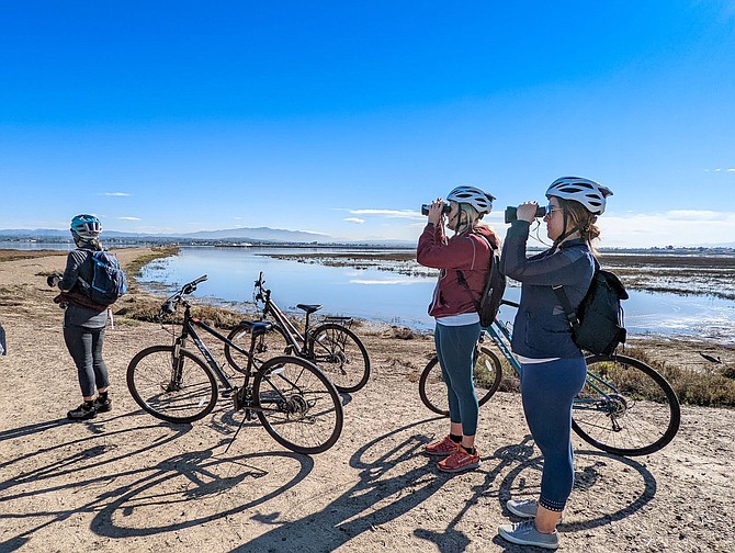 Test out your birding skills on this biologist led Birding and Biking Eco Tour.