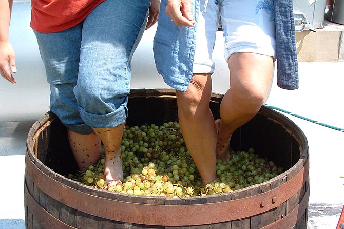 Continue the old-world tradition of kicking off your shoes, rolling up your pant legs and letting tons of blessed grapes squish beneath your feet!
