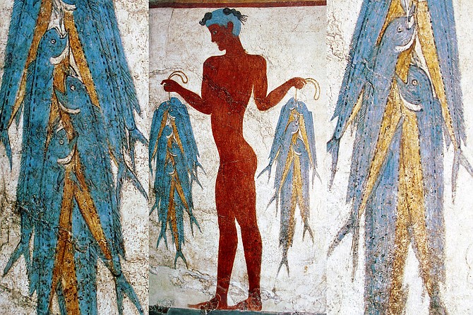 A 3,000-year-old Minoan fresco of a young fisherman with a load of small dorado is an indication of the popularity of the fish for food, and their sustainability through the years.
