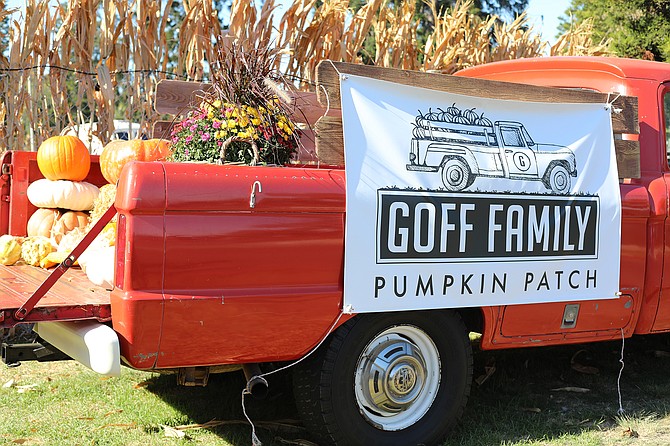 Visit the pop-up pumpkin patch at Liberty Station, with games, contests, a movie night and over 10,000 pumpkins to choose from.