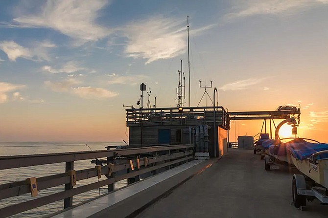 Take a 90-minute sunset walking tour of the usually off-limits Scripps Pier.