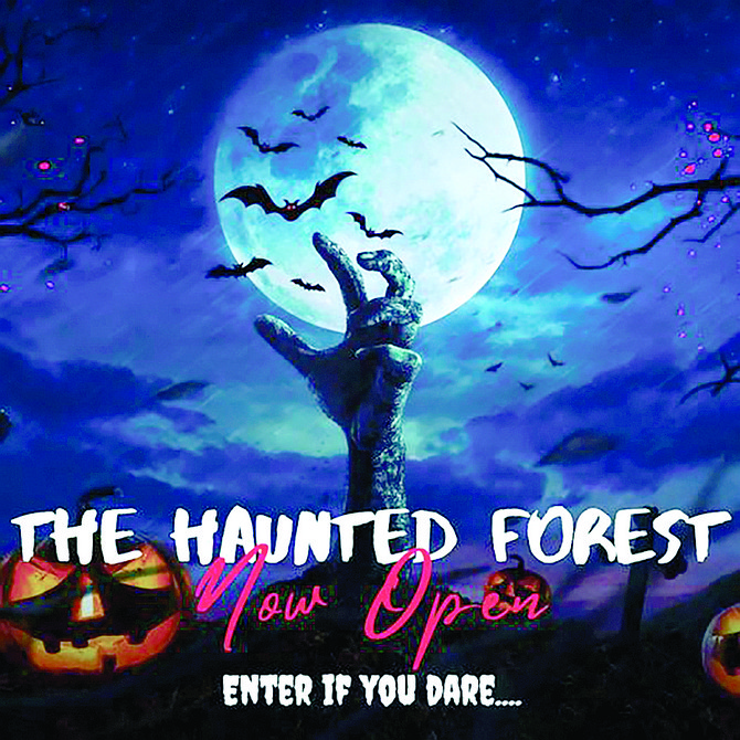 Every Friday and Saturday in October plus Halloween night a 62-acre property in Julian is turned into a Haunted Forest.