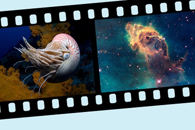 IMAX Documentary Film Festival