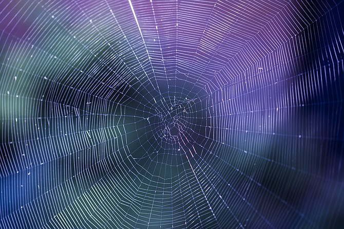 Colorful spiderweb