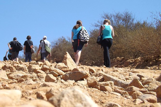 Hikers will be treated to a guided tour of almost everything that Elfin Forest has to offer.