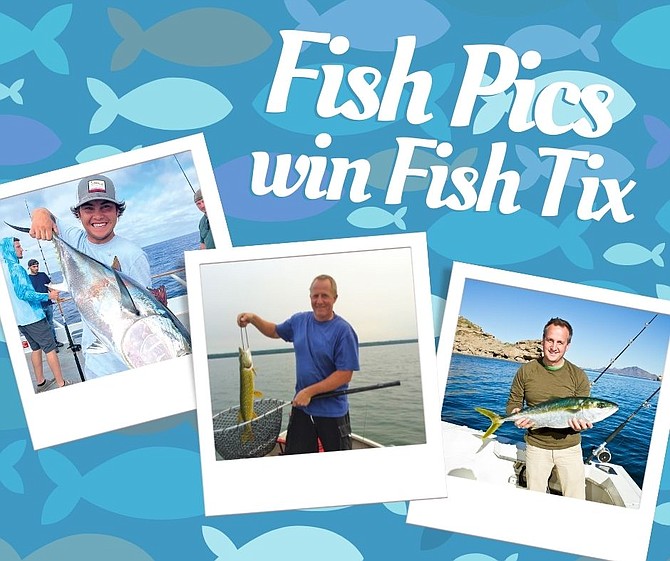 Fish Pics photo contest ad