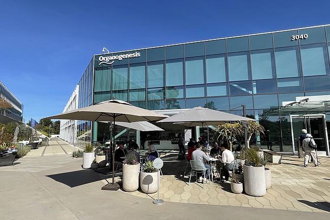 A Jewish deli counter with outdoor seating in the California sun