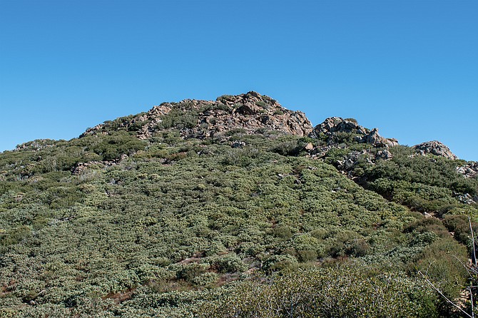 Garnet Peak squatting over a field of manzanita.