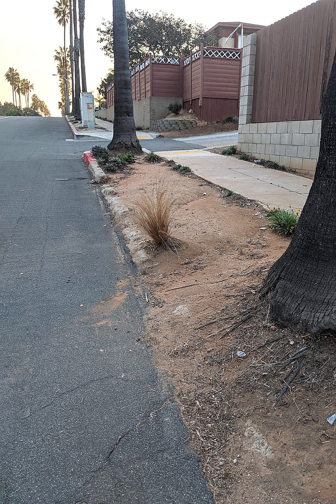 A damaged curb in Point Loma.